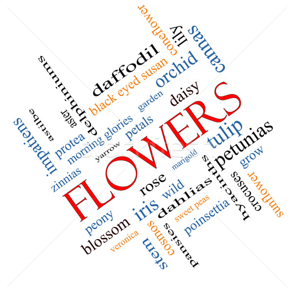 ストックフォト: 花 · 言葉の雲 · バラ · チューリップ · デイジーチェーン