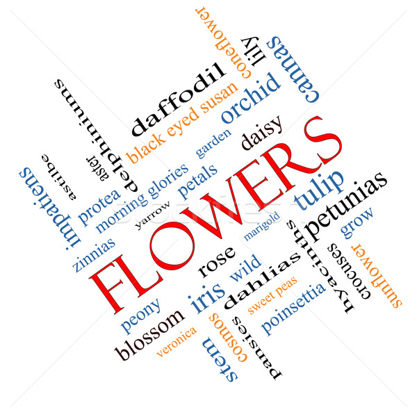 Flowers Word Cloud Concept Angled Stock photo © mybaitshop