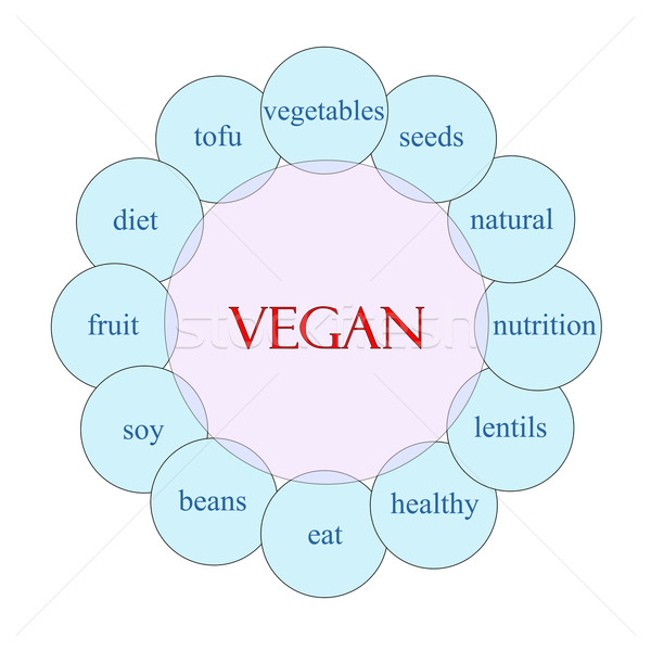 Vegan Rundschreiben Wort Diagramm rosa blau Stock foto © mybaitshop