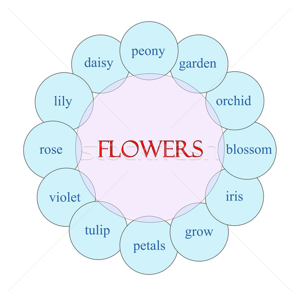 Flowers Circular Word Concept Stock photo © mybaitshop