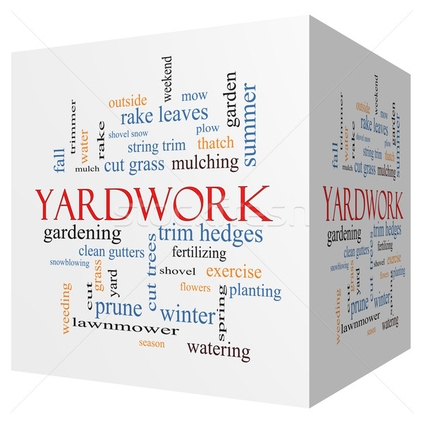 Yardwork 3D cube Word Cloud Concept Stock photo © mybaitshop