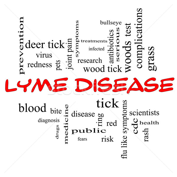 Lyme Disease Word Cloud Concept in red caps Stock photo © mybaitshop