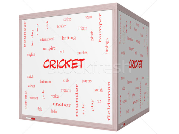 Cricket Wort-Wolke 3D Würfel groß Stock foto © mybaitshop