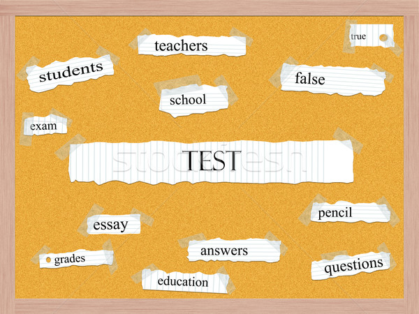 Test Wort groß Lehrer Schule Essay Stock foto © mybaitshop