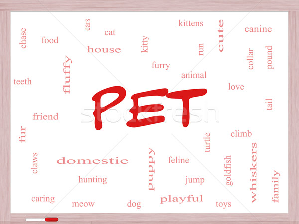 Pet Word Cloud Concept on a Dry Erase Board Stock photo © mybaitshop
