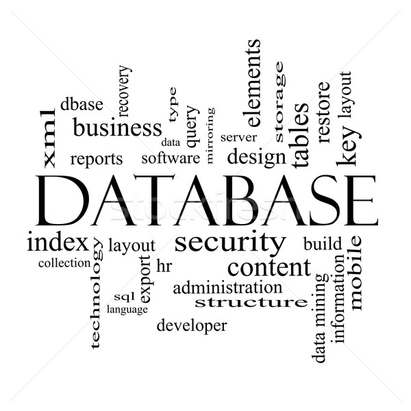 Base de datos nube de palabras blanco negro seguridad servidor Foto stock © mybaitshop