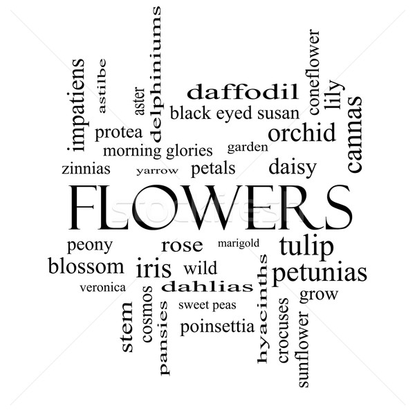 Flowers Word Cloud Concept in black and white Stock photo © mybaitshop