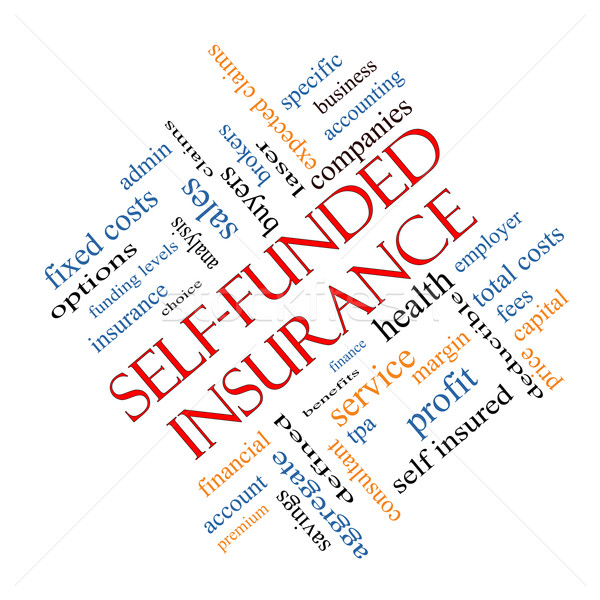Self Funded Insurance Word Cloud Angled Stock photo © mybaitshop