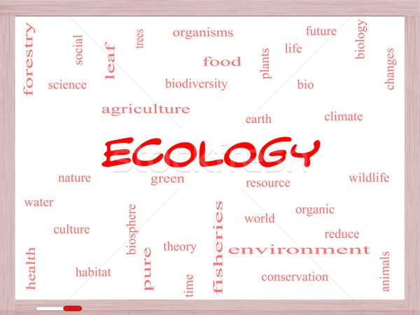 Ecology Word Cloud Concept on a Whiteboard Stock photo © mybaitshop