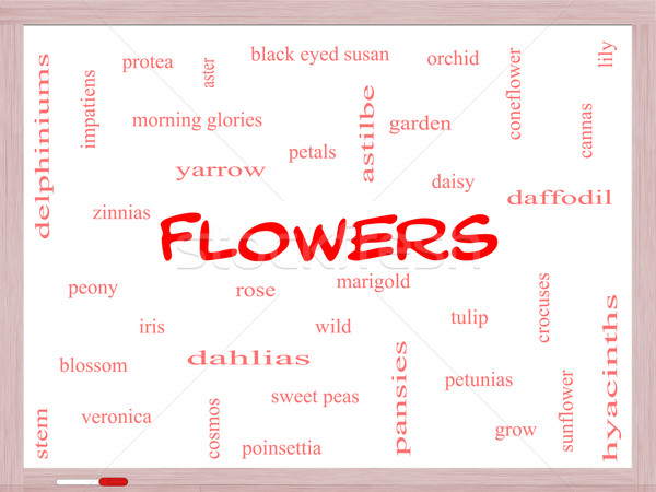 Flowers Word Cloud Concept on a Whiteboard Stock photo © mybaitshop