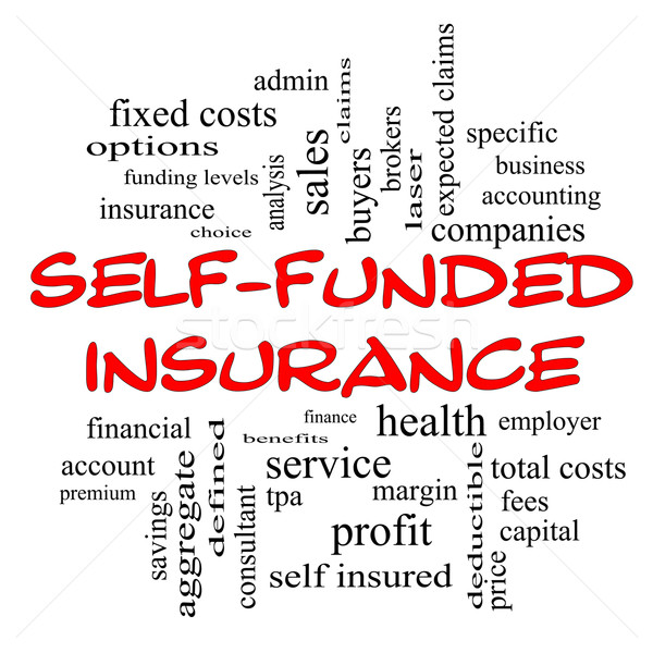Self Funded Insurance Word Cloud in red caps Stock photo © mybaitshop