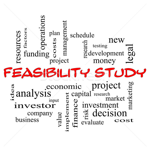 Feasibility Study Word Cloud Concept in red caps Stock photo © mybaitshop