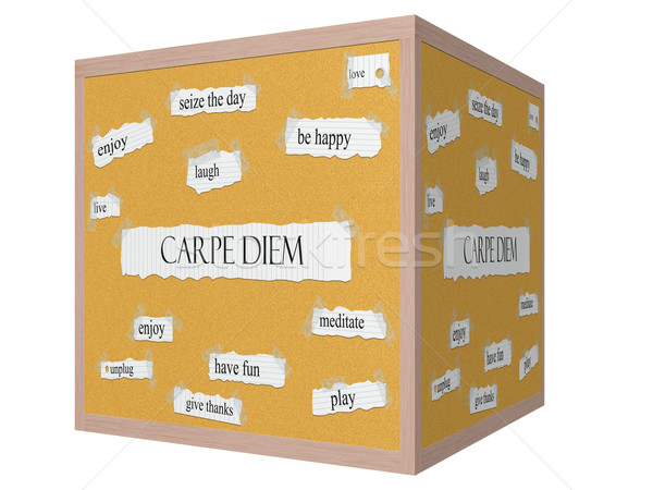 Carpe Diem 3D cube Corkboard Word Concept Stock photo © mybaitshop