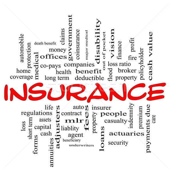 Insurance word cloud concept in red & black Stock photo © mybaitshop