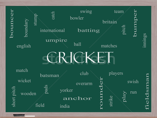 Foto stock: Cricket · nube · de · palabras · pizarra · pelota · más
