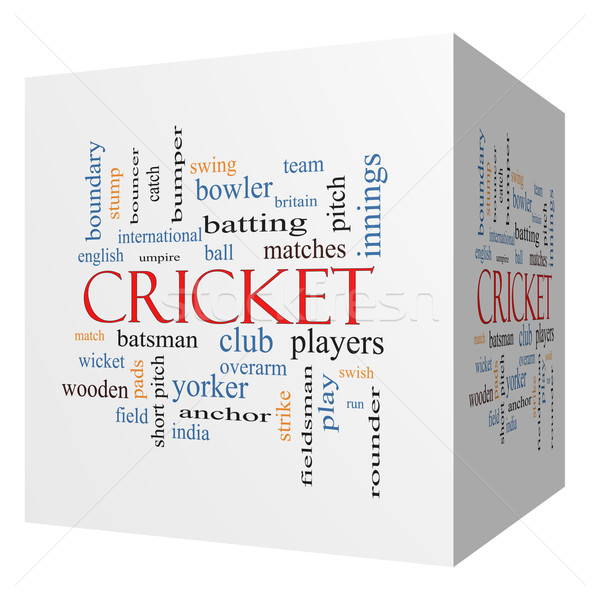 Cricket 3D cubo nube de palabras pelota Foto stock © mybaitshop
