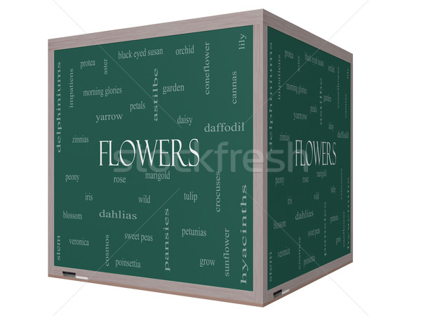 Flowers Word Cloud Concept on a 3D cube Blackboard Stock photo © mybaitshop