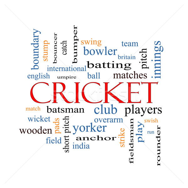 Cricket Wort-Wolke groß Ball mehr Club Stock foto © mybaitshop