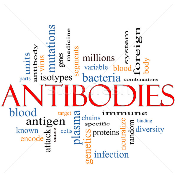 Antibodies Word Cloud Concept Stock photo © mybaitshop