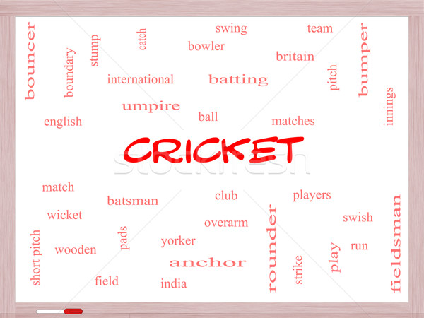 Stock foto: Cricket · Wort-Wolke · groß · Ball · mehr