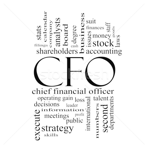 CFO Word Cloud Concept in black and white Stock photo © mybaitshop