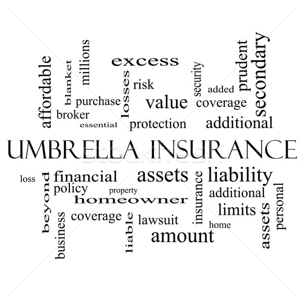 Umbrella Insurance Word Cloud Concept in black and white Stock photo © mybaitshop