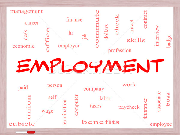 Employment Word Cloud Concept on a Whiteboard Stock photo © mybaitshop
