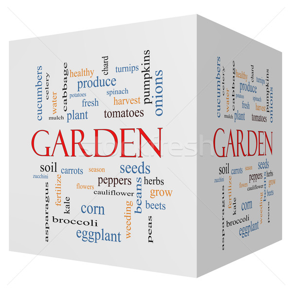 Garden 3D cube Word Cloud Concept Stock photo © mybaitshop