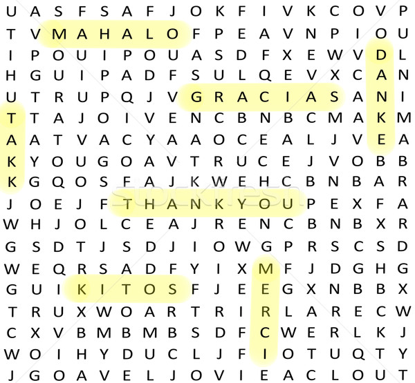 Thank You Terms Word Search Stock photo © mybaitshop