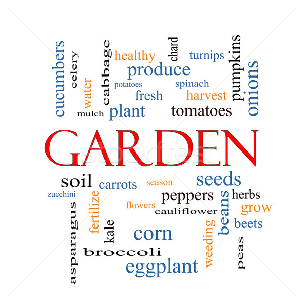 Garden Word Cloud Concept Stock photo © mybaitshop