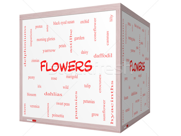 Flowers Word Cloud Concept on a 3D cube Whiteboard Stock photo © mybaitshop