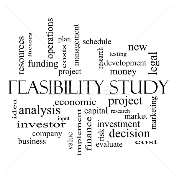 Feasibility Study Word Cloud Concept in black and white Stock photo © mybaitshop