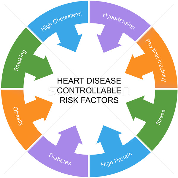 Heart Disease Controllable Risk Factors Circle Concept Stock photo © mybaitshop