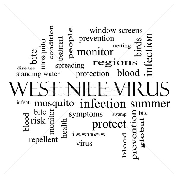 Oeste virus nube de palabras blanco negro mosquitos Foto stock © mybaitshop