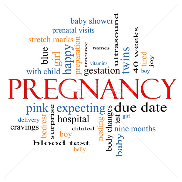 Zwangerschap woordwolk groot prenataal baby levering Stockfoto © mybaitshop