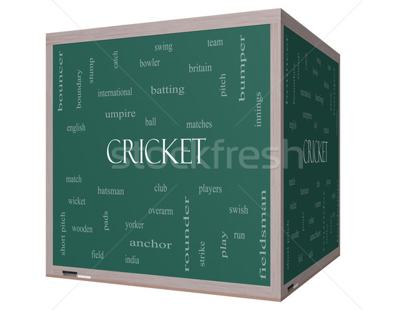 Cricket nube de palabras 3D cubo pizarra Foto stock © mybaitshop