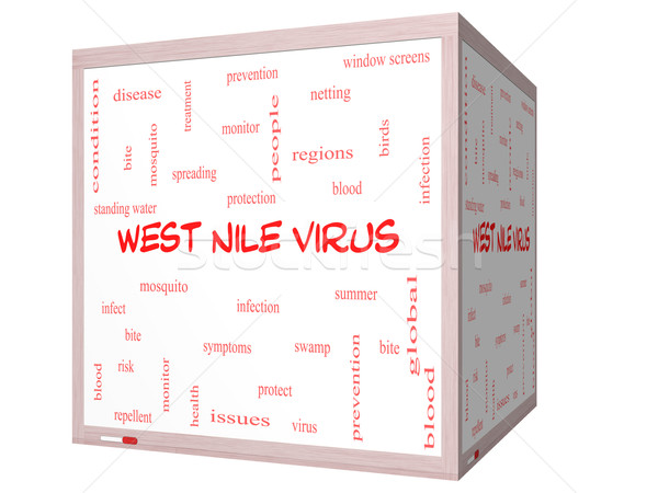 West Nile Virus Word Cloud Concept on a 3D cube Whiteboard Stock photo © mybaitshop