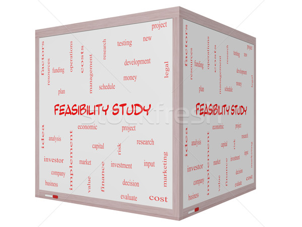 Feasibility Study Word Cloud Concept on a 3D cube Whiteboard Stock photo © mybaitshop