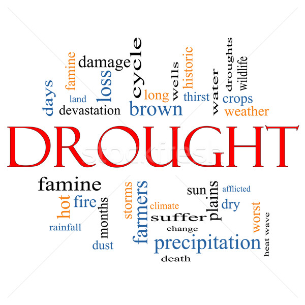 Drought Word Cloud Concept Stock photo © mybaitshop