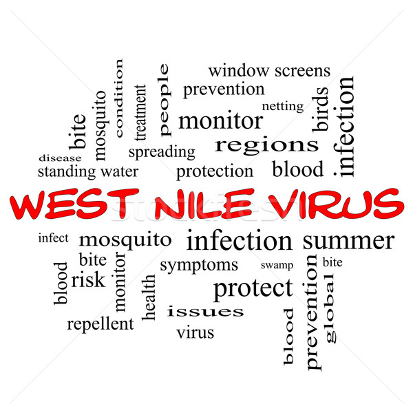 West Nile Virus Word Cloud Concept in red caps Stock photo © mybaitshop