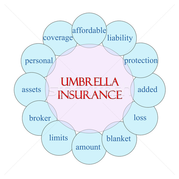 [[stock_photo]]: Parapluie · assurance · circulaire · mot · diagramme · rose