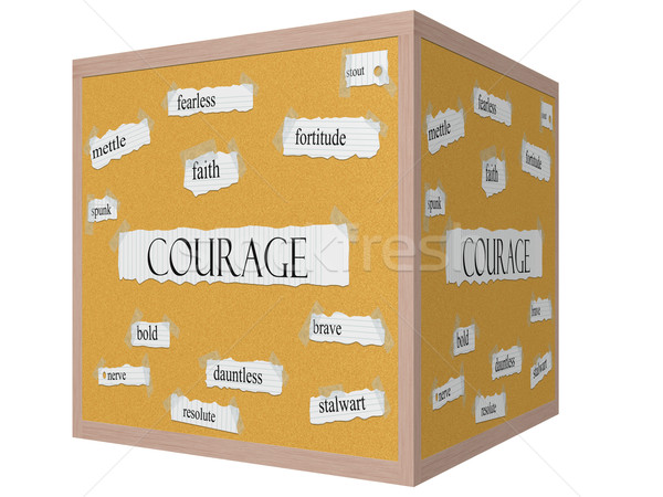 Courage 3D cube mot magnifique intrépide [[stock_photo]] © mybaitshop