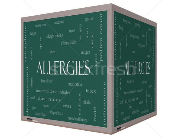 Allergien Wort-Wolke 3D Würfel Tafel groß Stock foto © mybaitshop