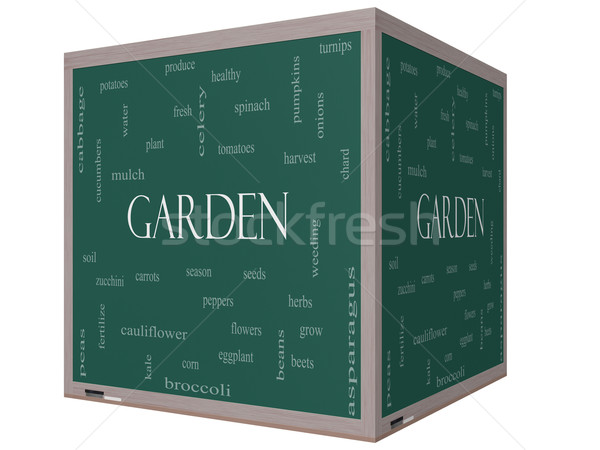 Garden Word Cloud Concept on a 3D cube Blackboard Stock photo © mybaitshop