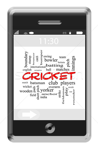 Cricket nube de palabras pantalla táctil teléfono pelota Foto stock © mybaitshop