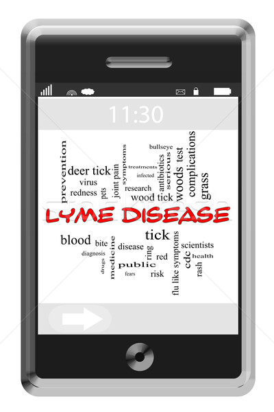 Lyme Disease Word Cloud Concept on Touchscreen Phone Stock photo © mybaitshop