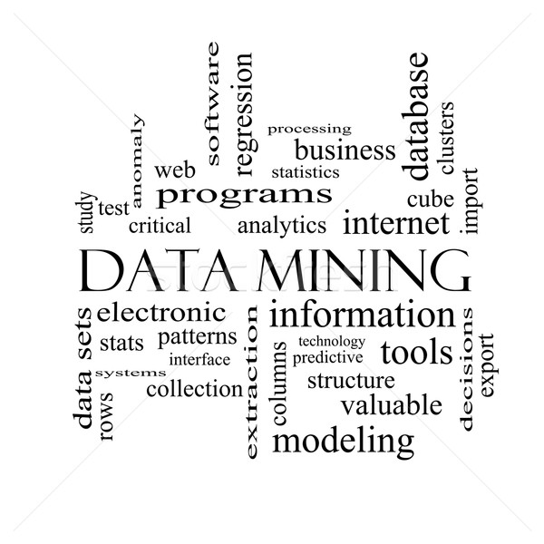 Data Mining Word Cloud Concept in black and white Stock photo © mybaitshop