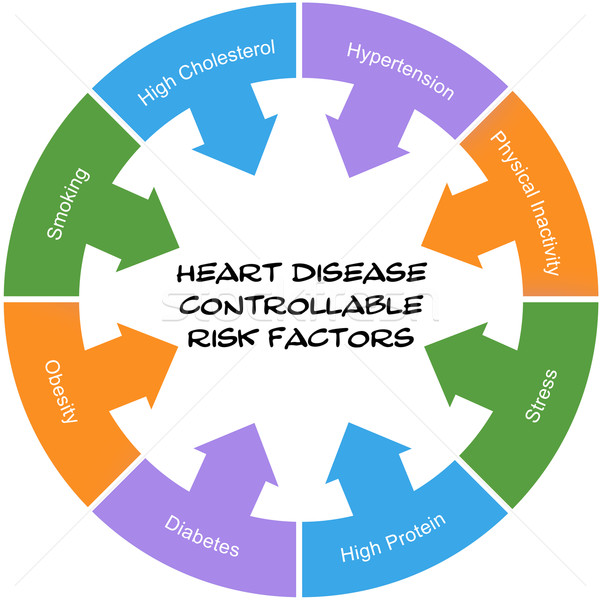 Heart Disease Controllable Risk Factors Circle Concept Scribbled Stock photo © mybaitshop