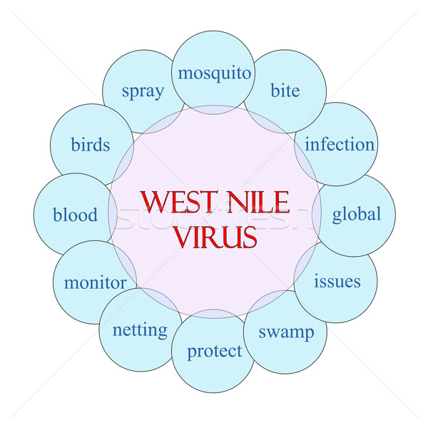 Oeste virus circular palabra diagrama rosa Foto stock © mybaitshop