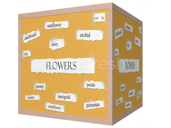 Flowers 3D cube Corkboard Word Concept Stock photo © mybaitshop